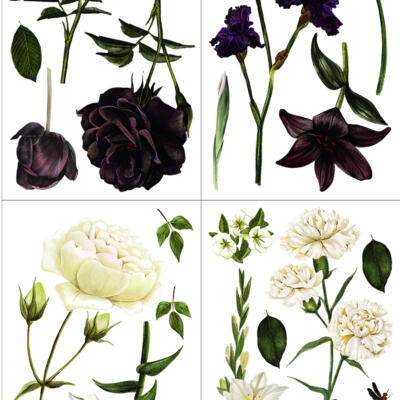 Transfer Decorativo · Midnght Garden · 88,5×58 cm en 4 hojas de Hokus Pokus