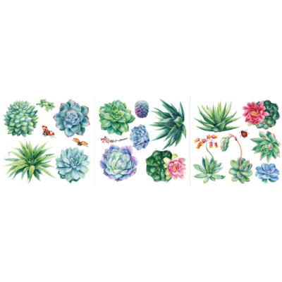 Transfer para muebles · Sheilam Succulantsl · 3 hojas 30×30 cm Hokus Pokus