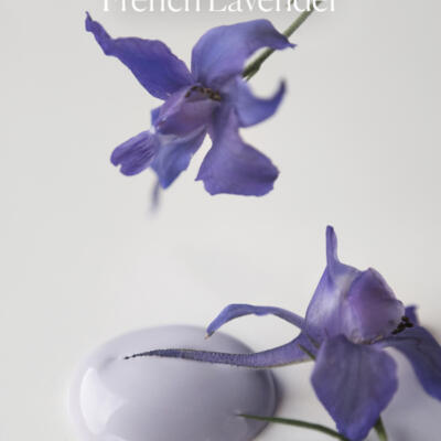 Pintura a la tiza French Lavende