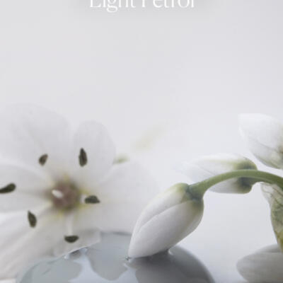 Pintura a la tiza Light Petrol