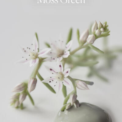 Pintura a la tiza Moss Green