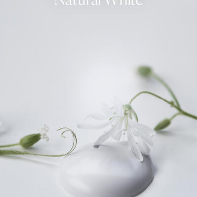 Pintura a la tiza Natural White