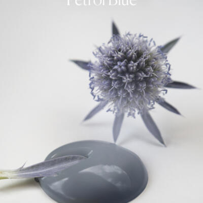 Pintura a la tiza Petrol Blue