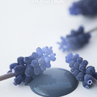 Pintura a la tiza Royal Blue