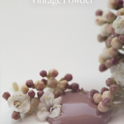 Pintura a la tiza Vintage Powder
