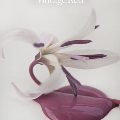 Pintura a la tiza Vintage Red