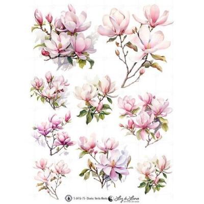 Transfer DTF textil · Ramos Magnolias Rosas · A4