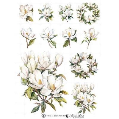 Transfer DTF textil · Ramos Magnolias Blancos · A4