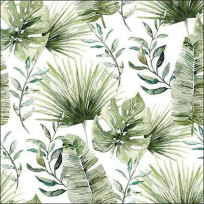 Servilleta 33X33cm. Unidad –  Jungle Leaves White