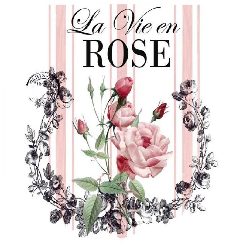 Transfer Dtf Textil 25X30cm. La Vie En Rose 3 Transfer Dtf Textil 25X30cm. La Vie En Rose