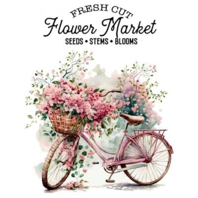 Transfer Dtf Textil 25X30cm. The Flower Bike